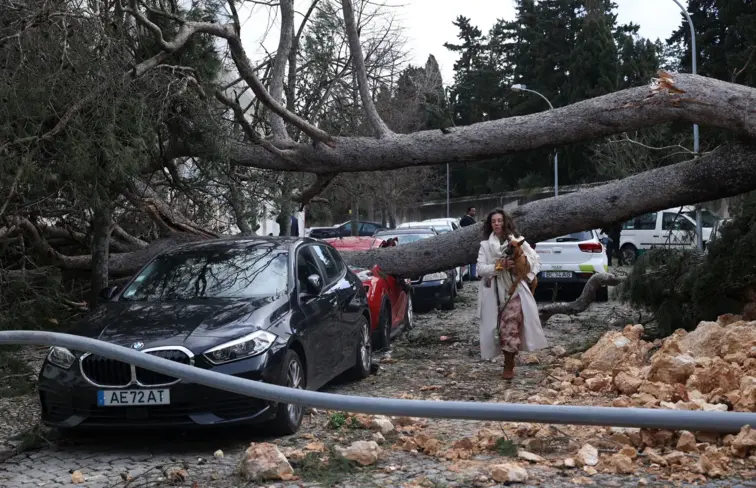 Árvore caída em cima de carro, resultado do mau tempo
